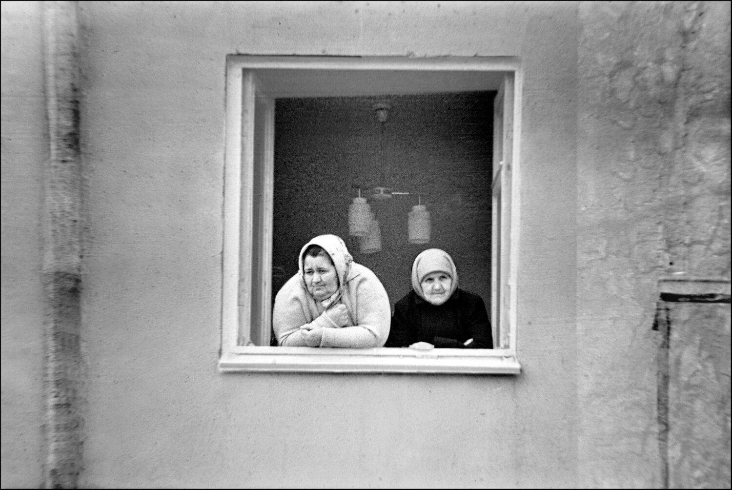 , Меднов Влад