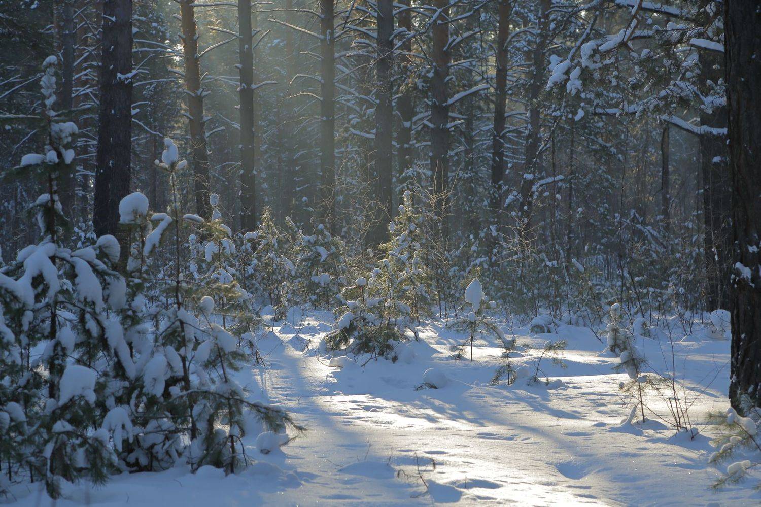 , Евгений Зинов