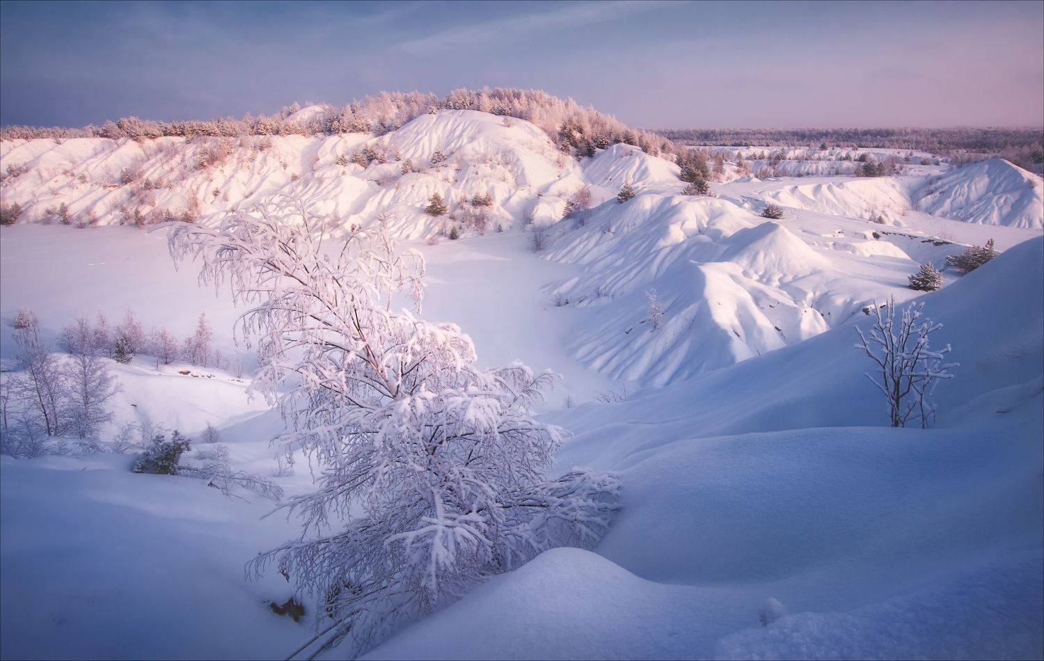 , Богорянов Алексей