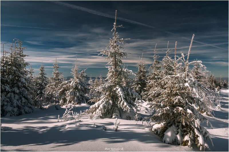 zima, polska Zima фото превью