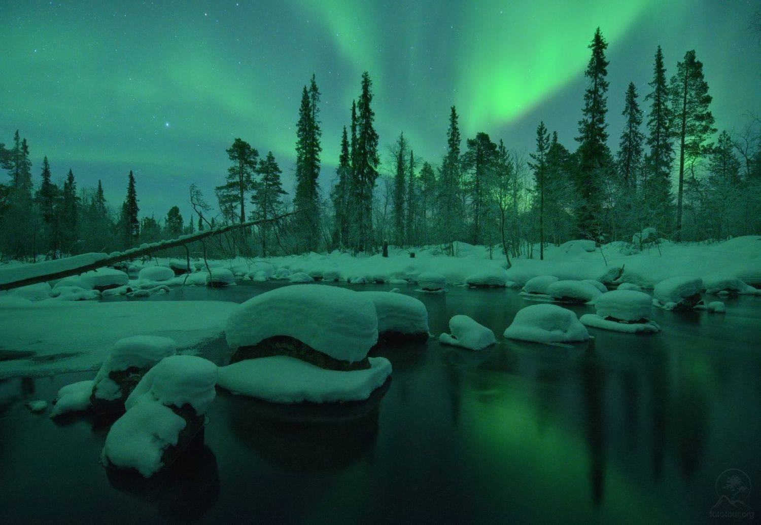 кольский, Гордиенко Анатолий