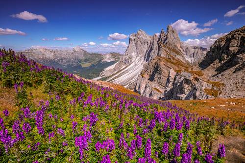 Seceda. Dolomites Italy