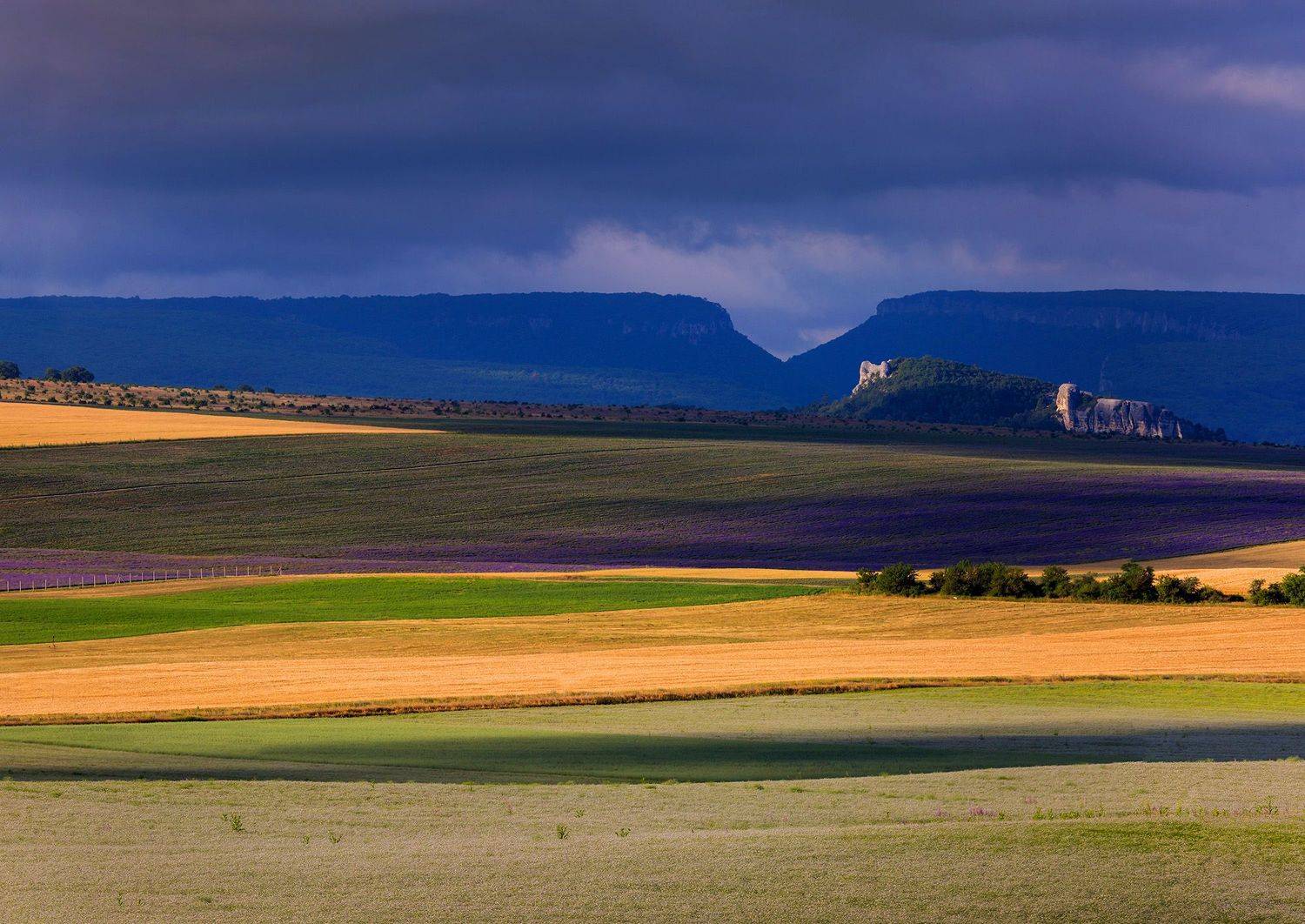 крым, бахчисарай, крымский прованс, крымские пейзажи, пейзажи крыма, лаванда, крымская лаванда, крымское предгорье, Титов Сергей