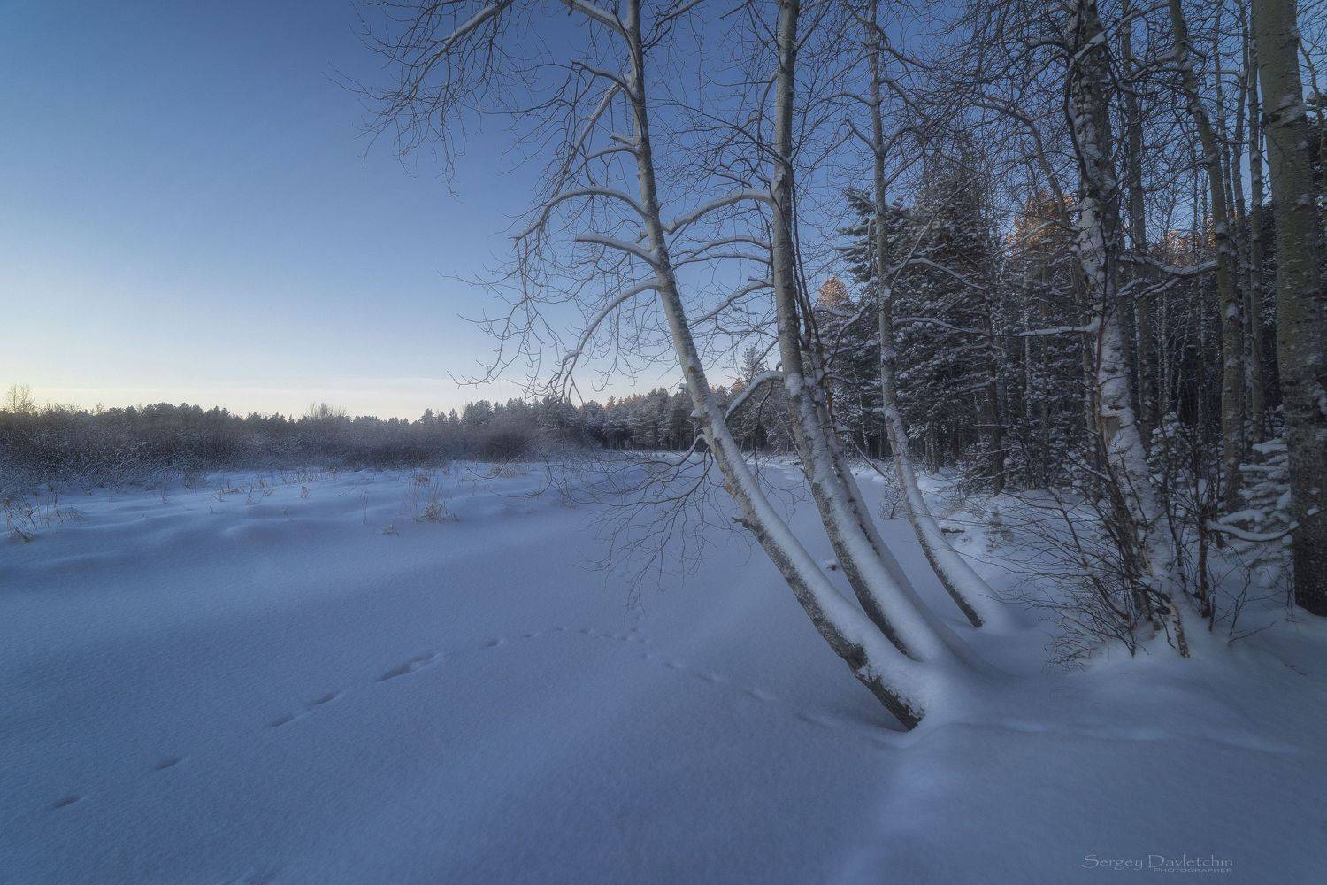 , Сергей Давлетшин