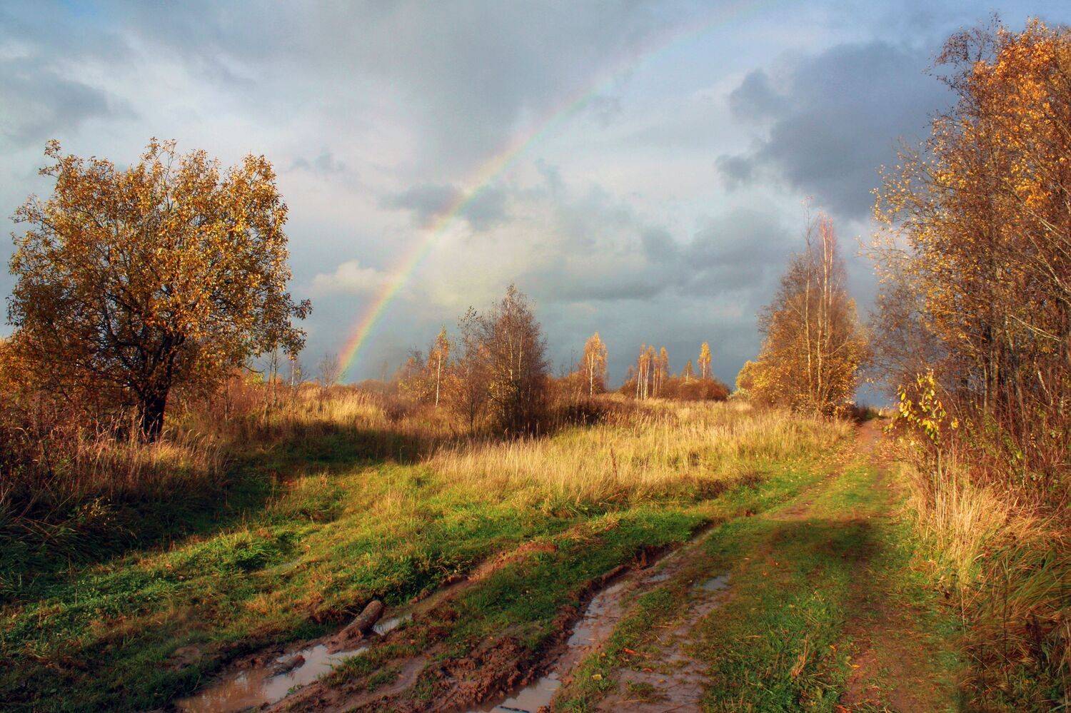 осень , радуга, Александр Свистков