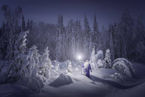 Заколдованный лес Дедушки Мороза