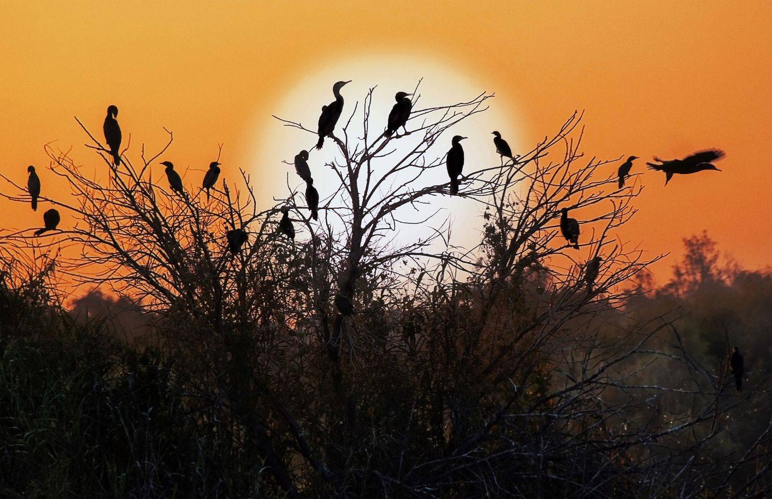 , Вадим Городницкий