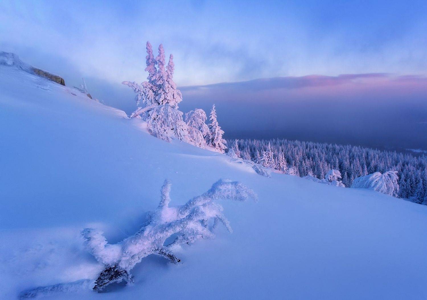 , Vyacheslav Lozhkin