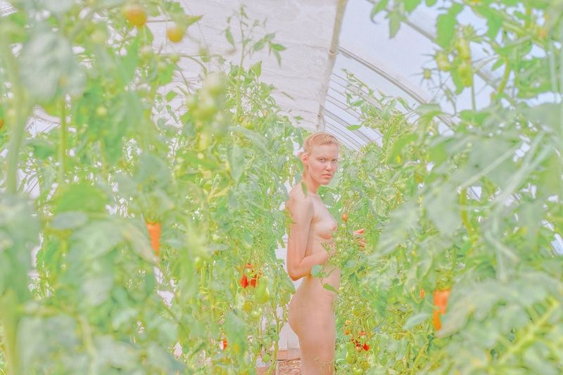 *** фото превью