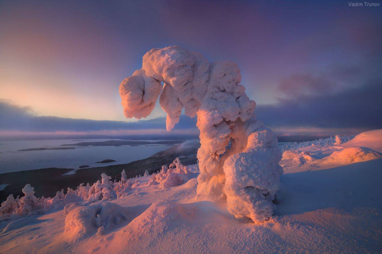 кольский, Вадим Трунов