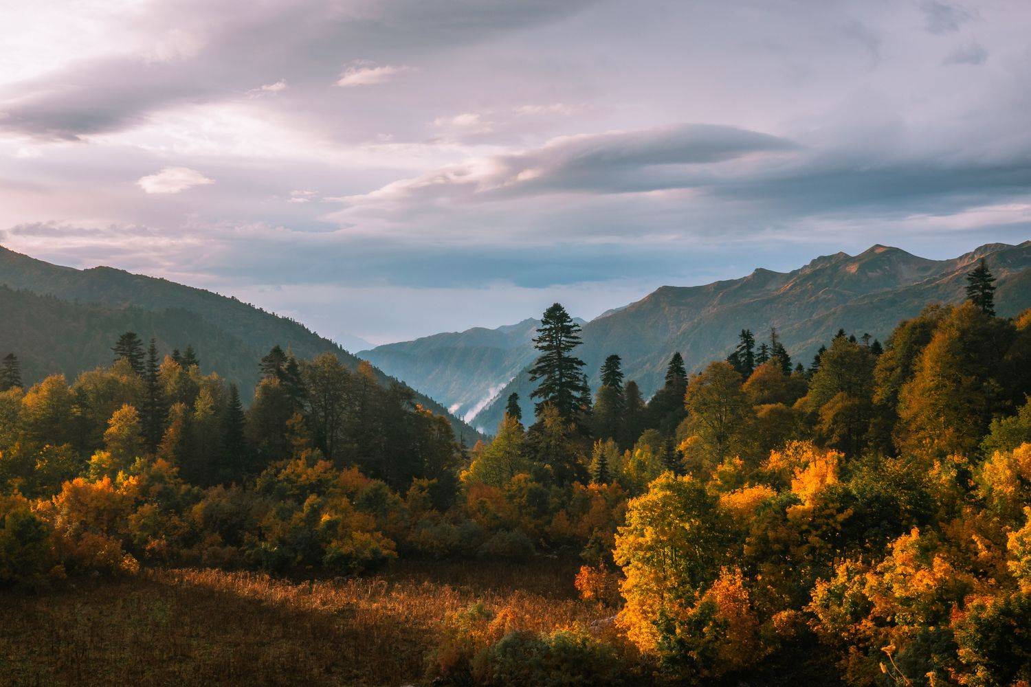 адыгея, кавказский заповедник, лагонаки, фишт, Константин Шишкалов