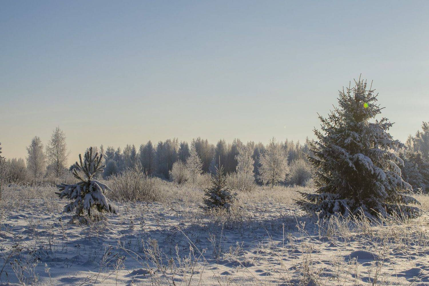 , Галина Луценко