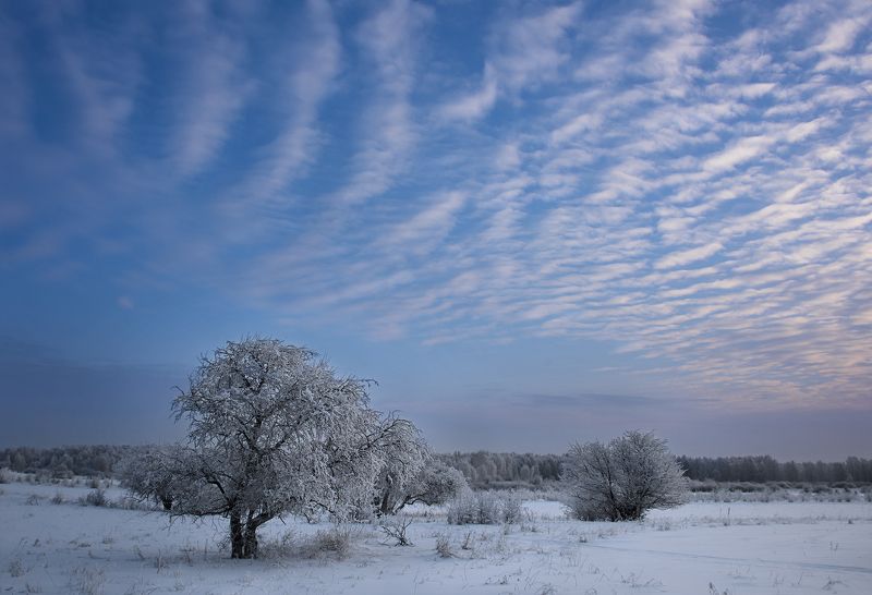 Зима, небо... фото превью