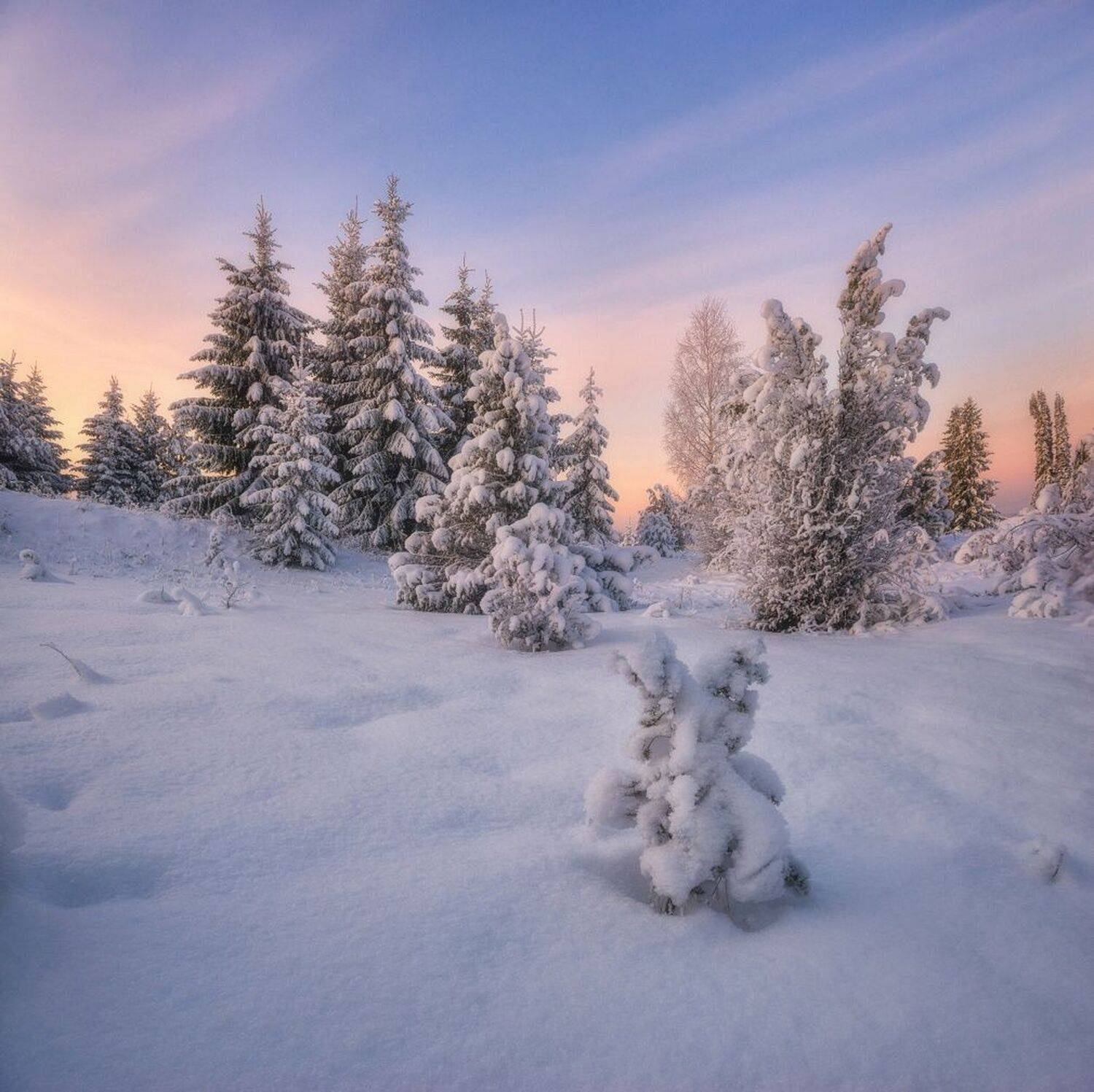 зима, пейзаж, снег, мороз, утро, рассвет,  Михаил
