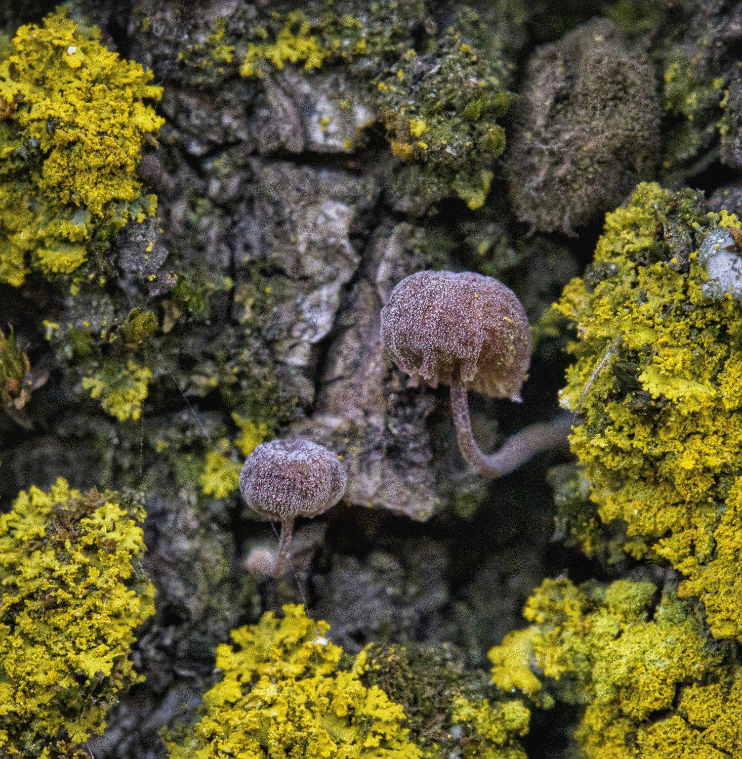 , Павел Сагайдак