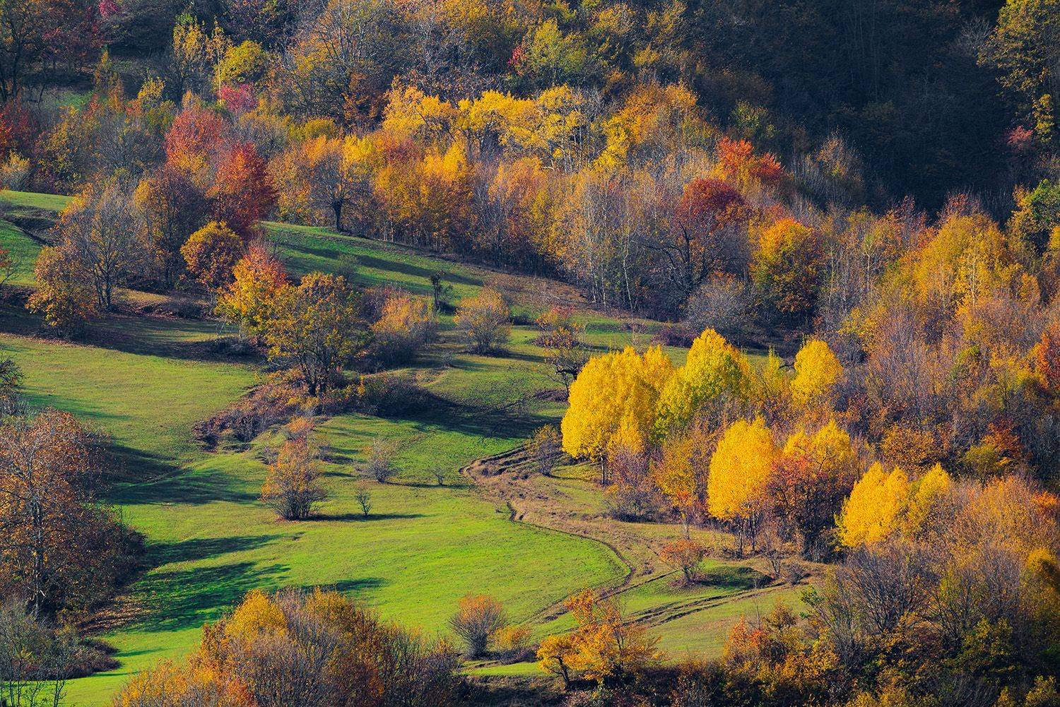 азербайджан, горы, осень, лес, Valery