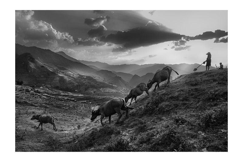 Rice&Icon of Vietnam фото превью