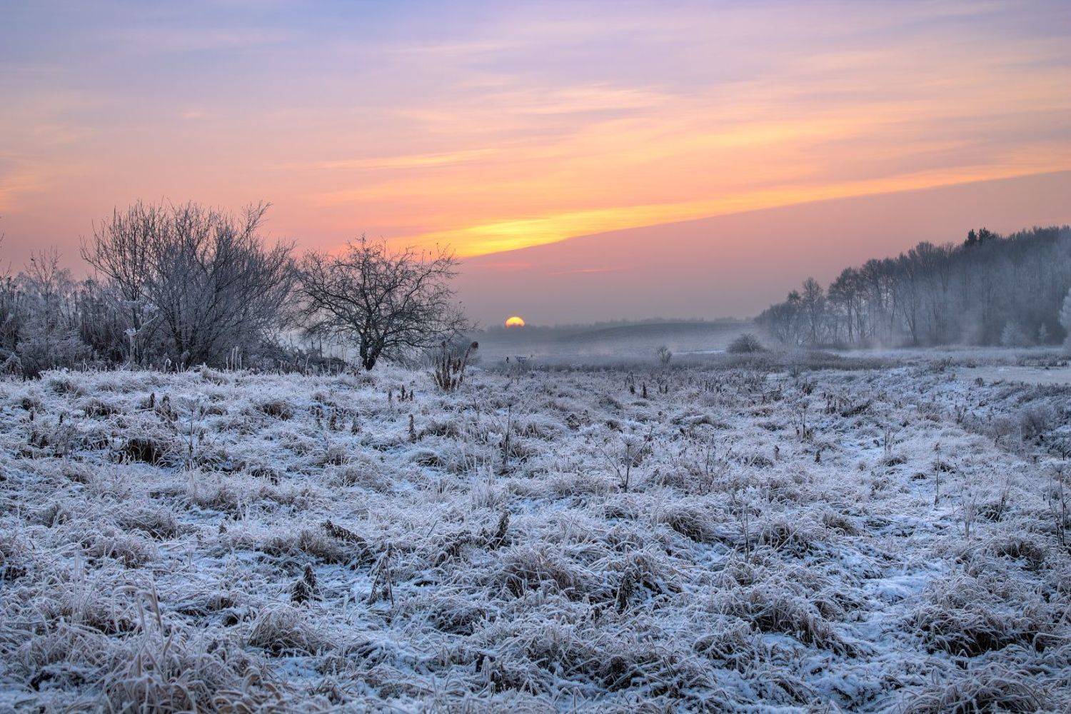 зима, рассвет, мороз, дымка, небо,, Сергей Шабуневич