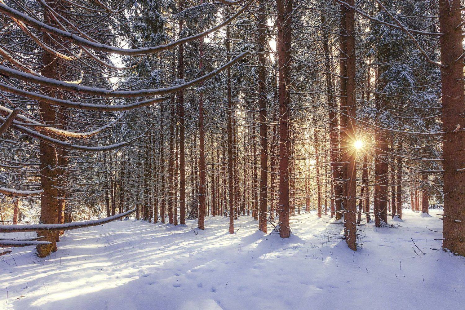 , Костенко Александр