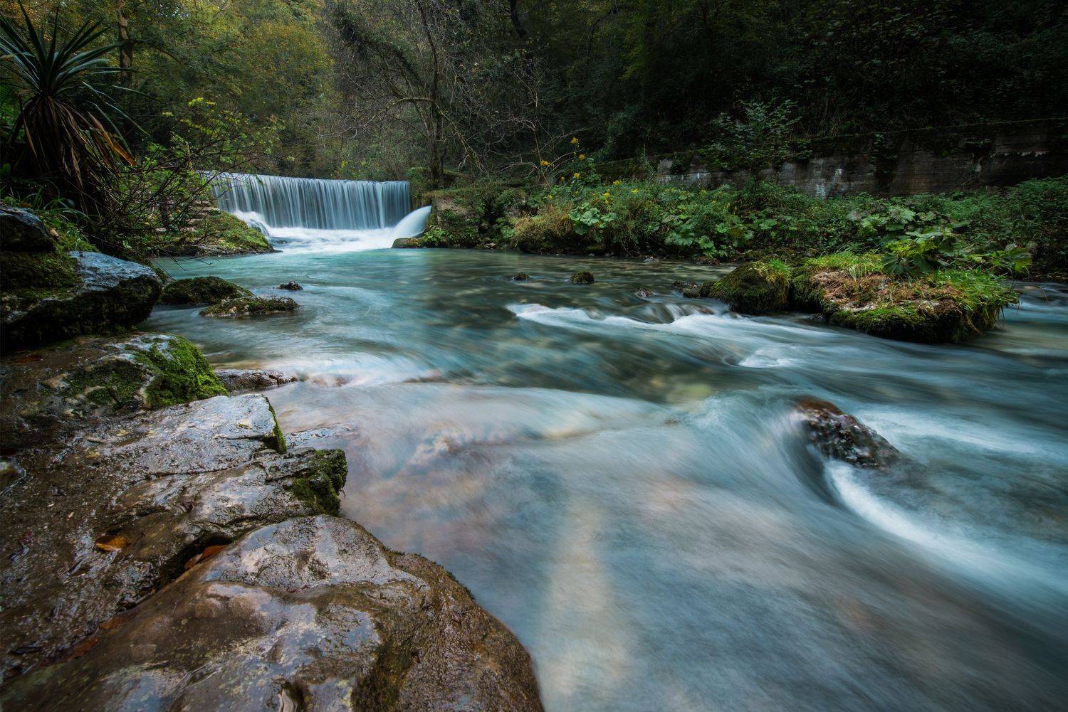 , Перевозчиков Андрей