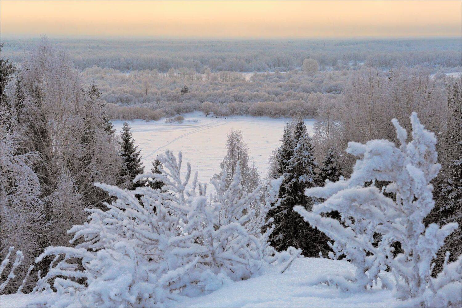 , Анатолий Гулин