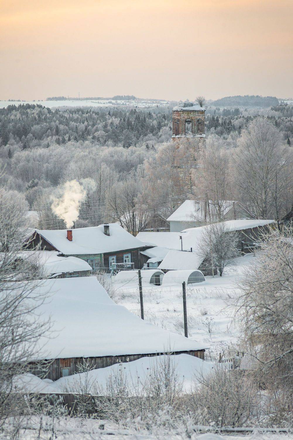 , Шуплецов Алексей