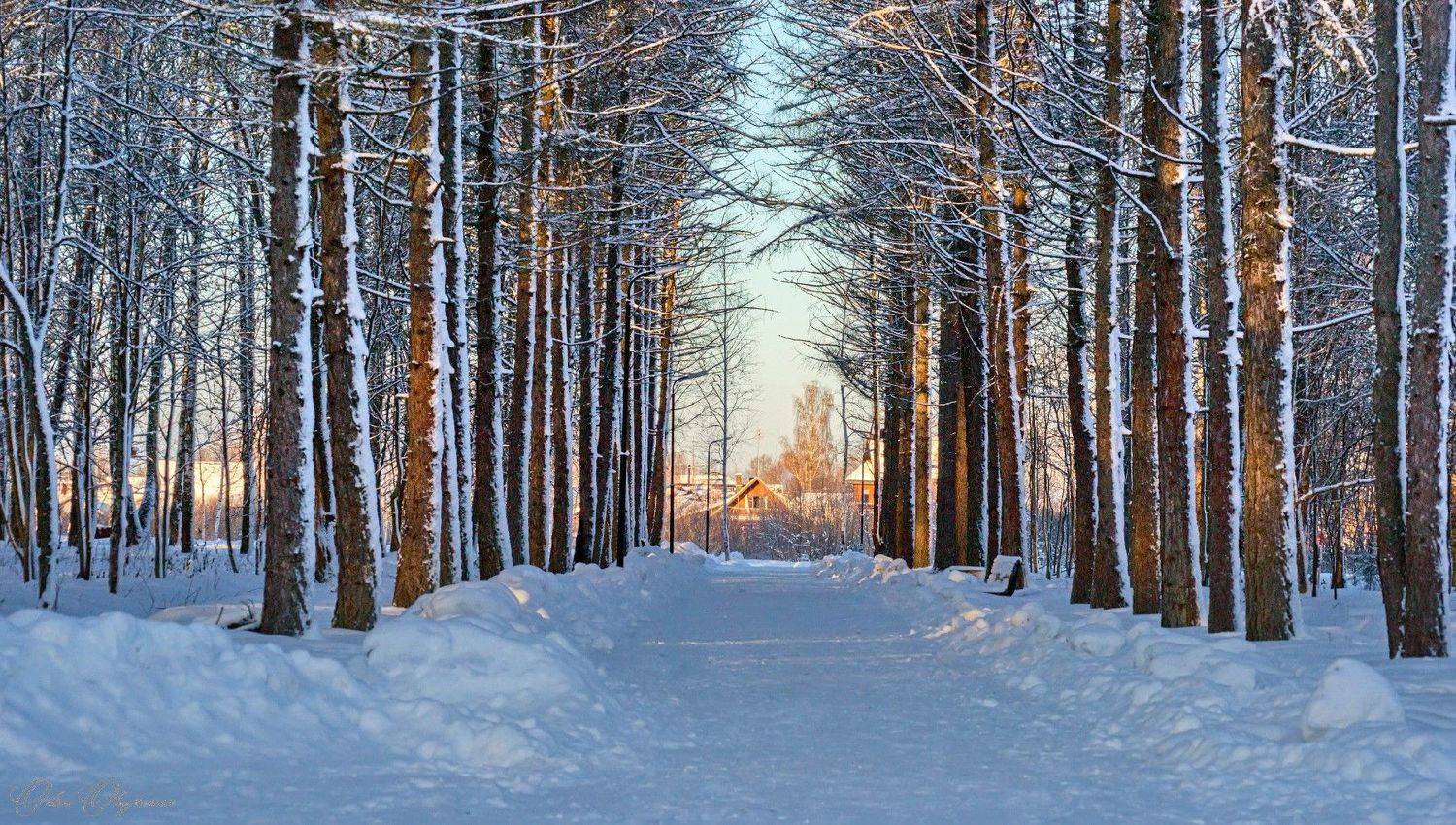 , Орлов Олег