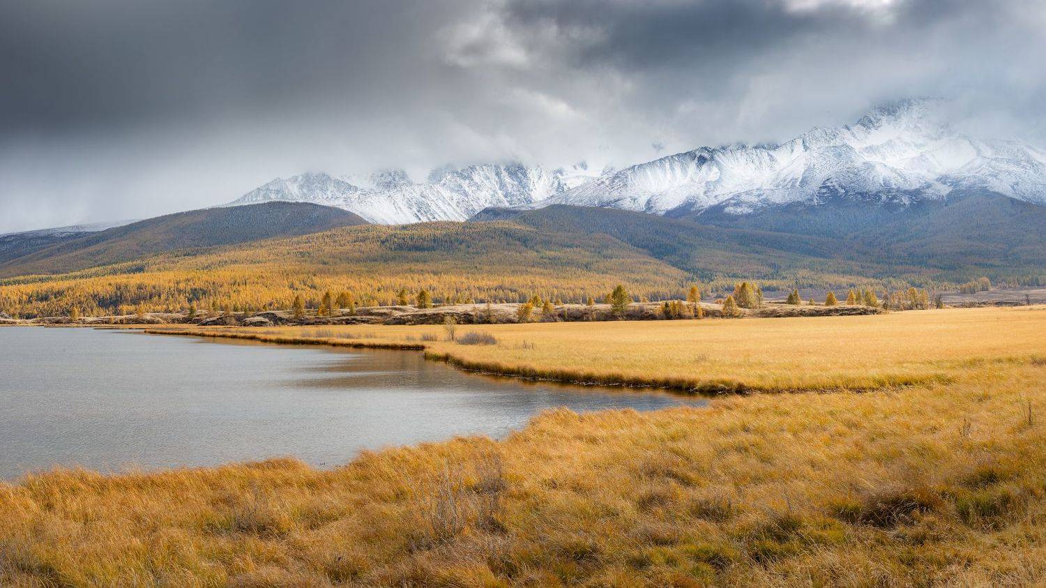 , Павел Глушков