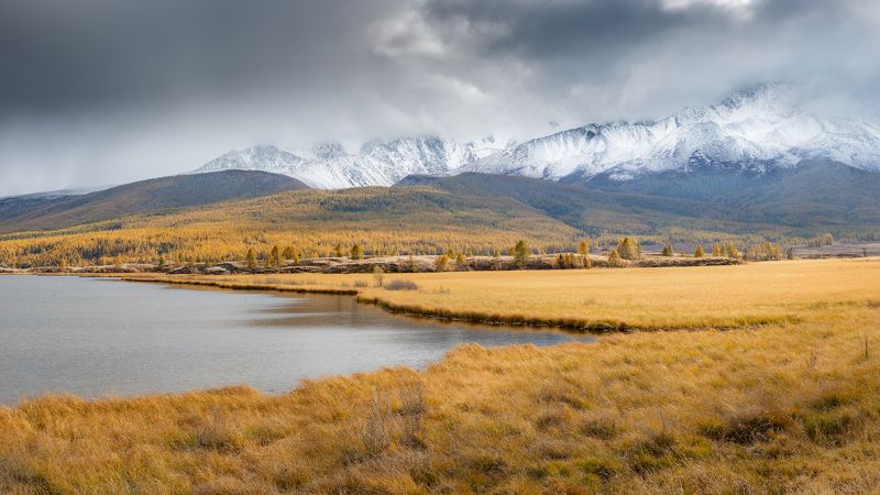 *** фото превью