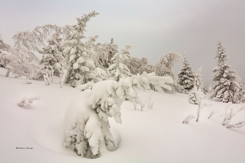 г. юрма, южный урал, Природа Южного Урала фото превью