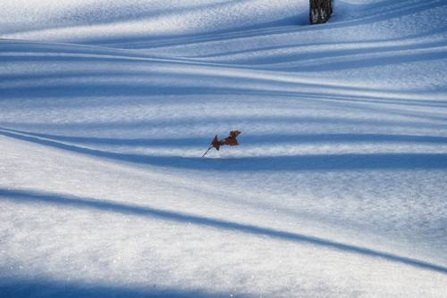 Графика зимы