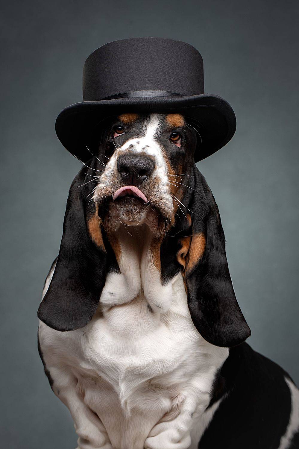 , Светлана Писарева