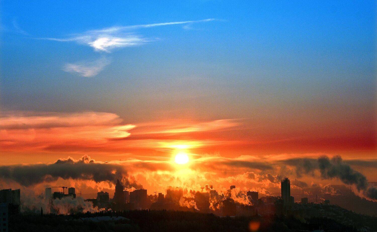 , Меднов Влад