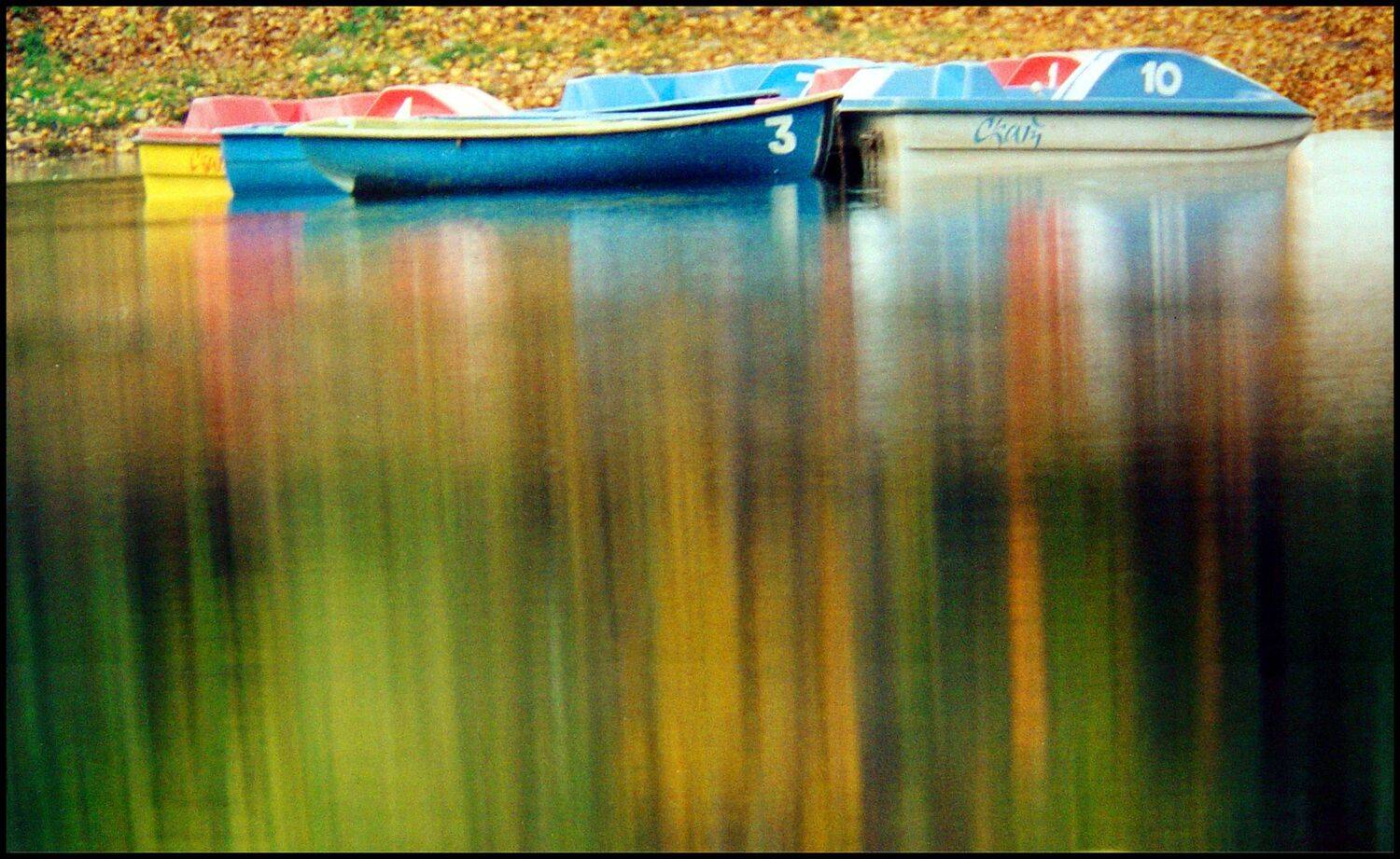 , Меднов Влад