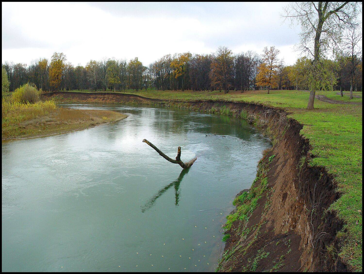 , Меднов Влад
