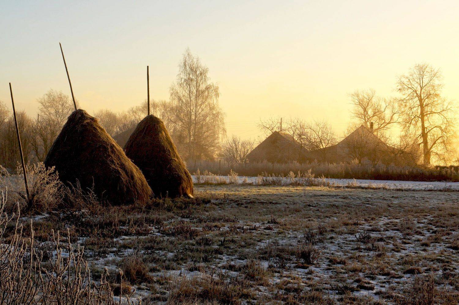 , Юрий Дёмин