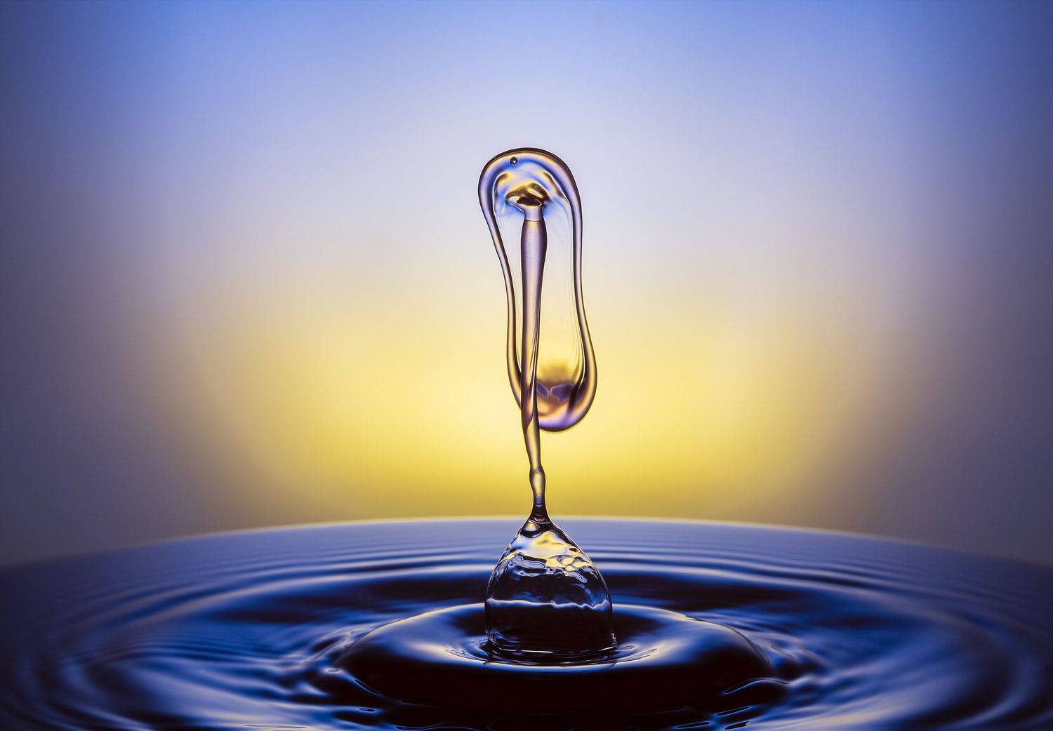 WATER,LIQUID,SPLASH PHOTOGRAPHY,ABSTRACT,TIME STOP,SPEED LIGTH,YOUSEF SAYADI,BLUE,YELLOW,MAGENTA,LIQUID ART,ABSTRACT ART,DROPS,MACRO,REFLECTIVE,HIGH SPEED PHOTOGRAPHY, Sayadi Yousef