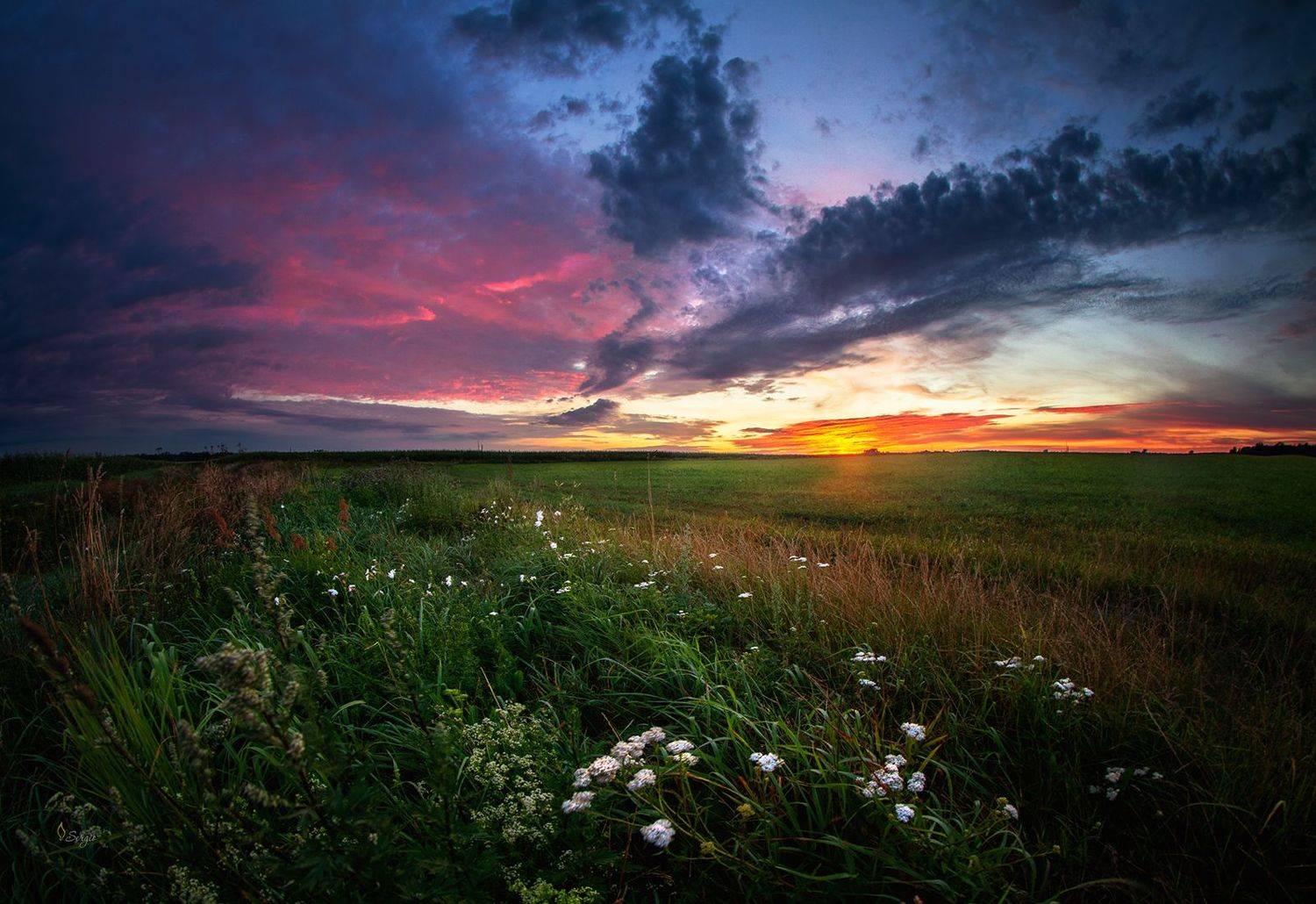 Беларусь, Серж Домбровский