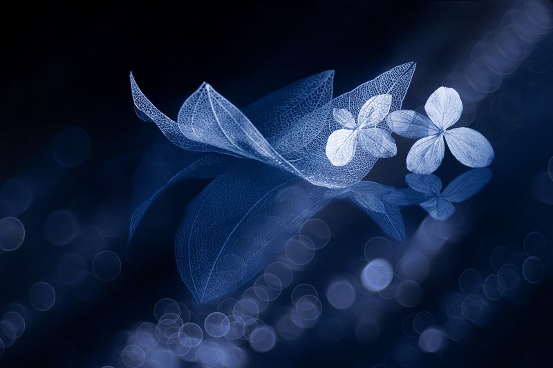 Inspired фото превью