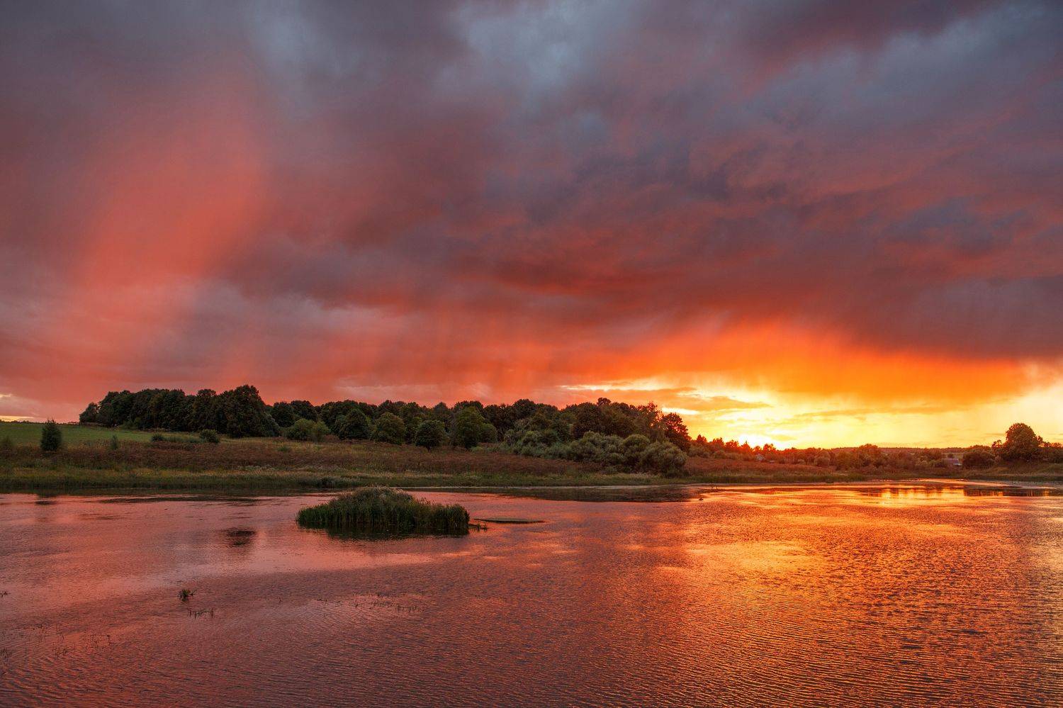 дождь пруд закат, Alexey Belov
