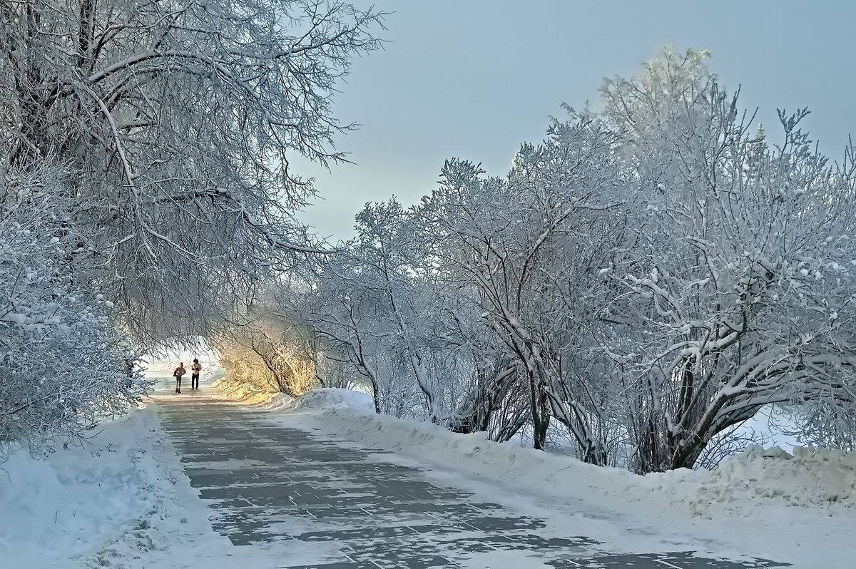 , Николаев Владимир