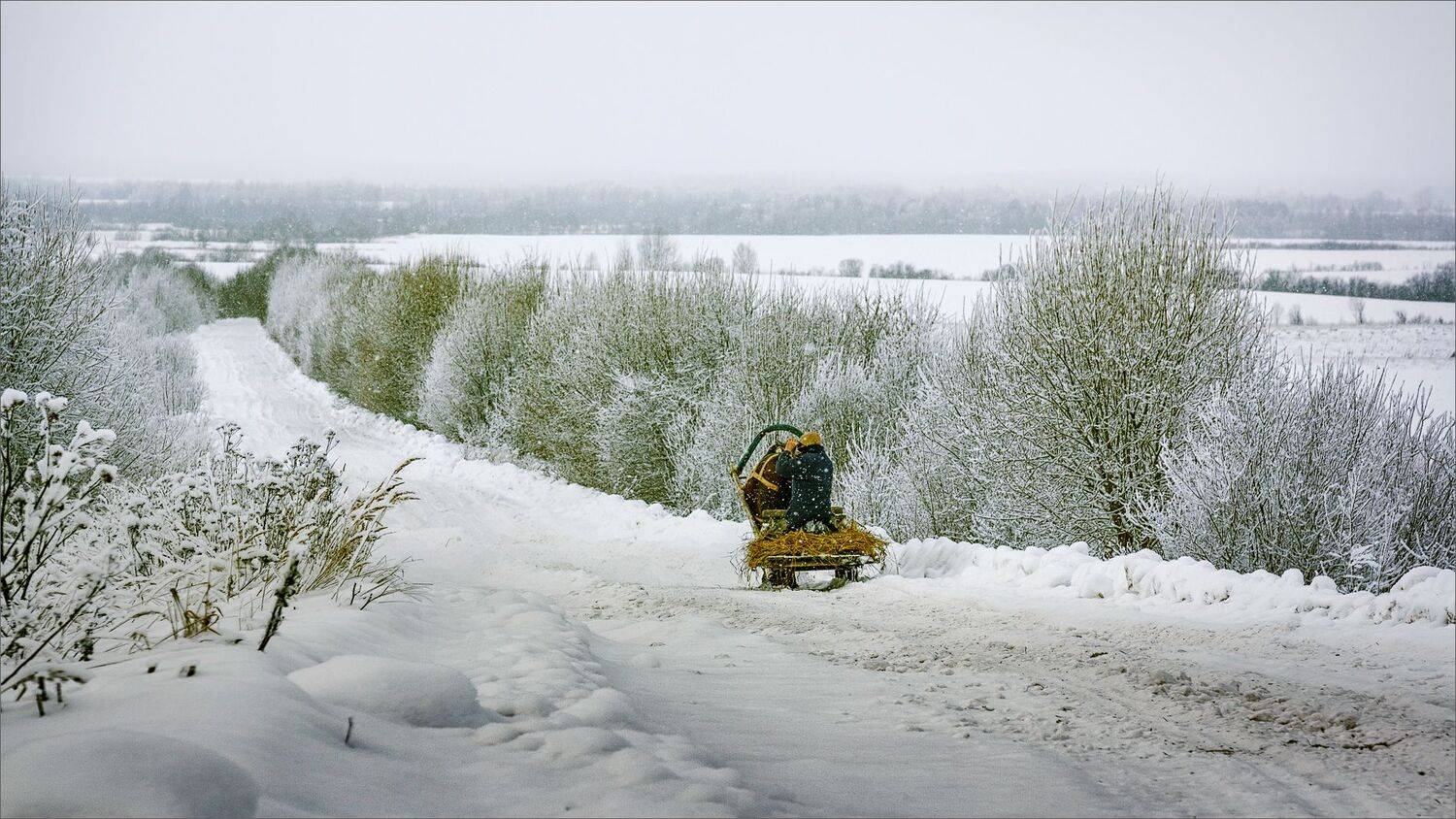 пейзаж, зима, дорога, лошадь, свет, цвет, александр никитинский,, Никитинский Александр