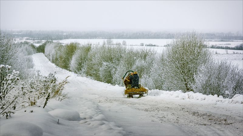 пейзаж, зима, дорога, лошадь, свет, цвет, александр никитинский, Зимняя, деревенская... фото превью