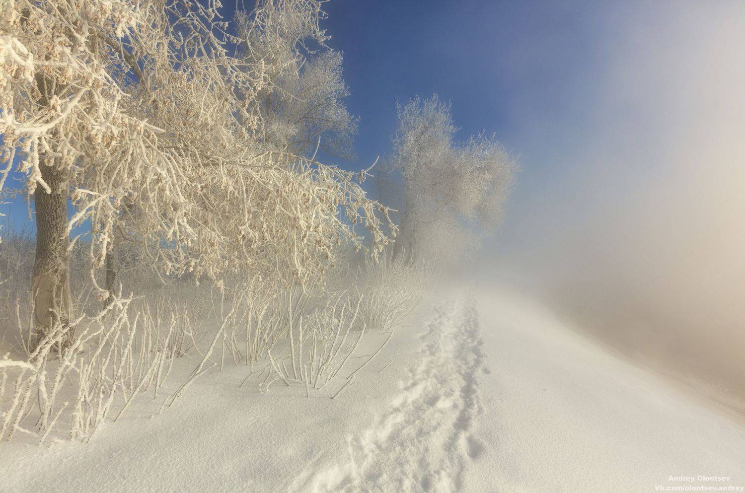 солнце, россия, рассвет, природа, подмосковье, погода, пейзажи, пейзаж, отражение, наукоград, красота, дубна, вода, весна, weather, water, spring, russia, reflection, naukograd, nature, moscow, landscape, dawn, canon, dubna, beauty, Олонцев Андрей