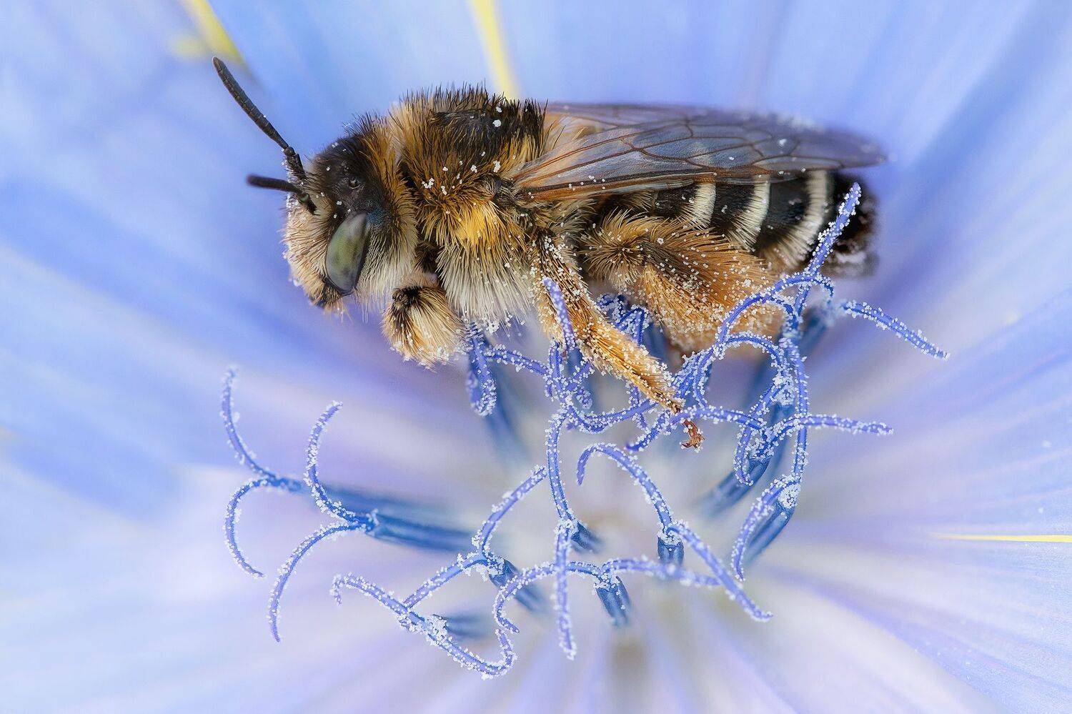 , Кузнецов Дмитрий