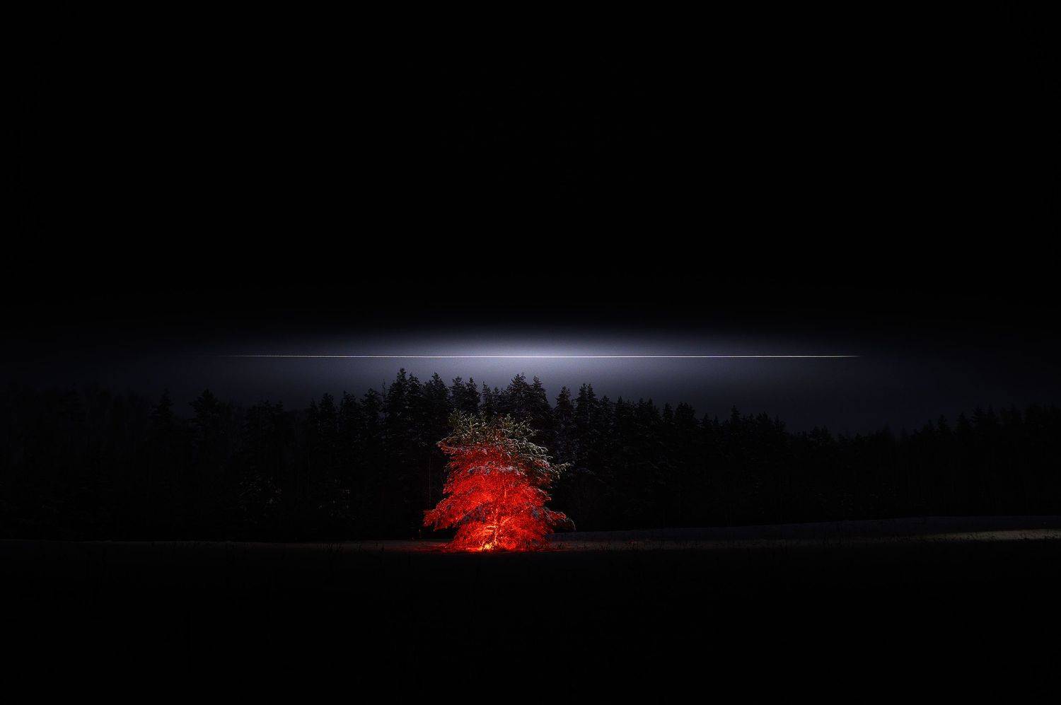 , Лутовкин Артём