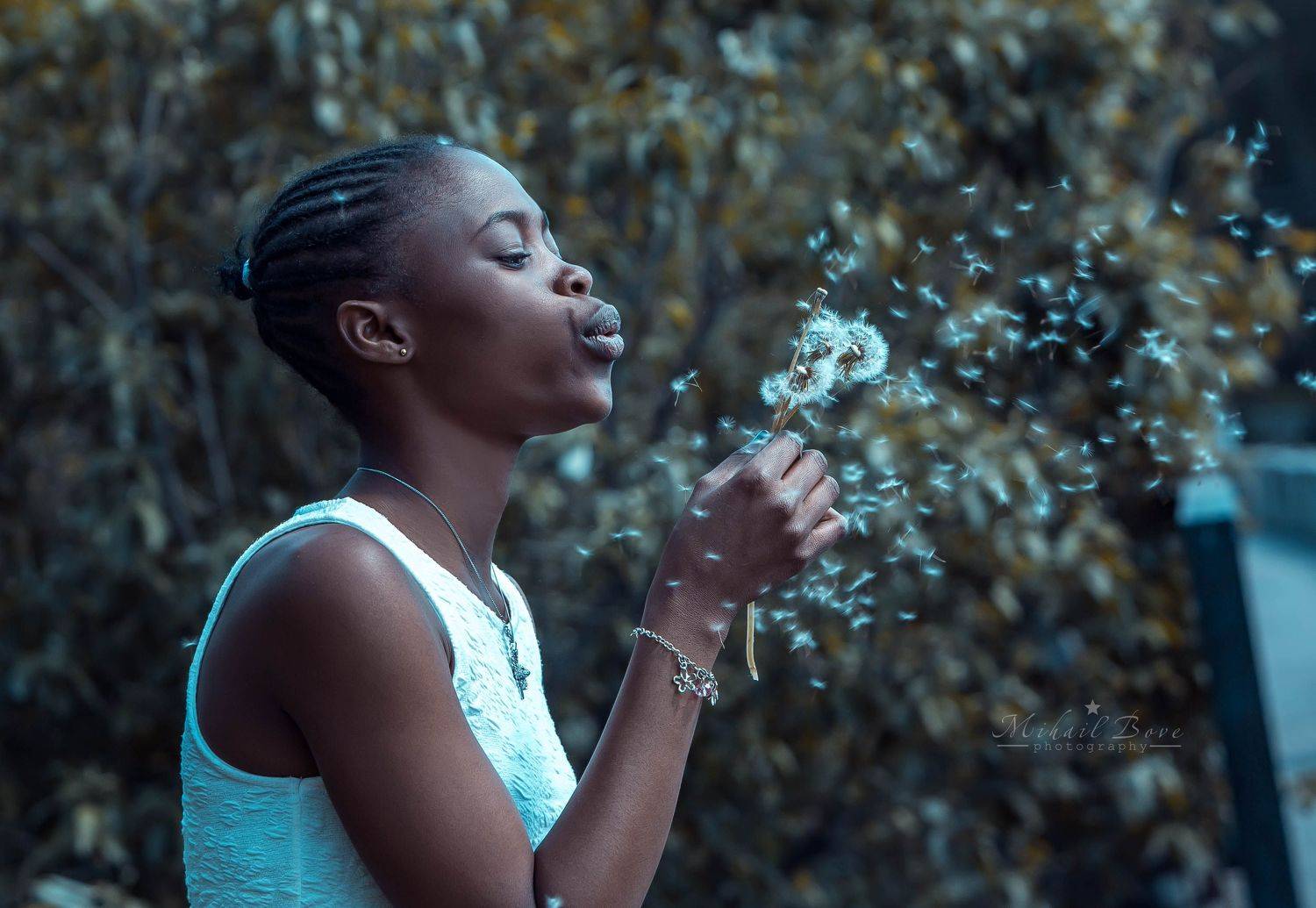 , Михаил Бове