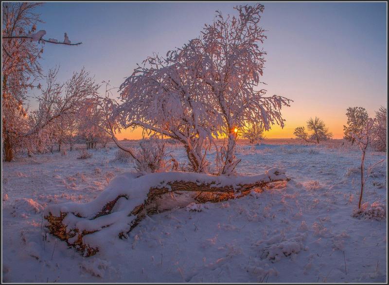 прорва ЗИМНЯЯ  СКАЗКА фото превью