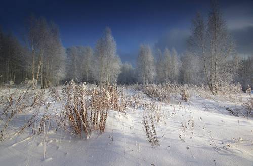Морозным утром