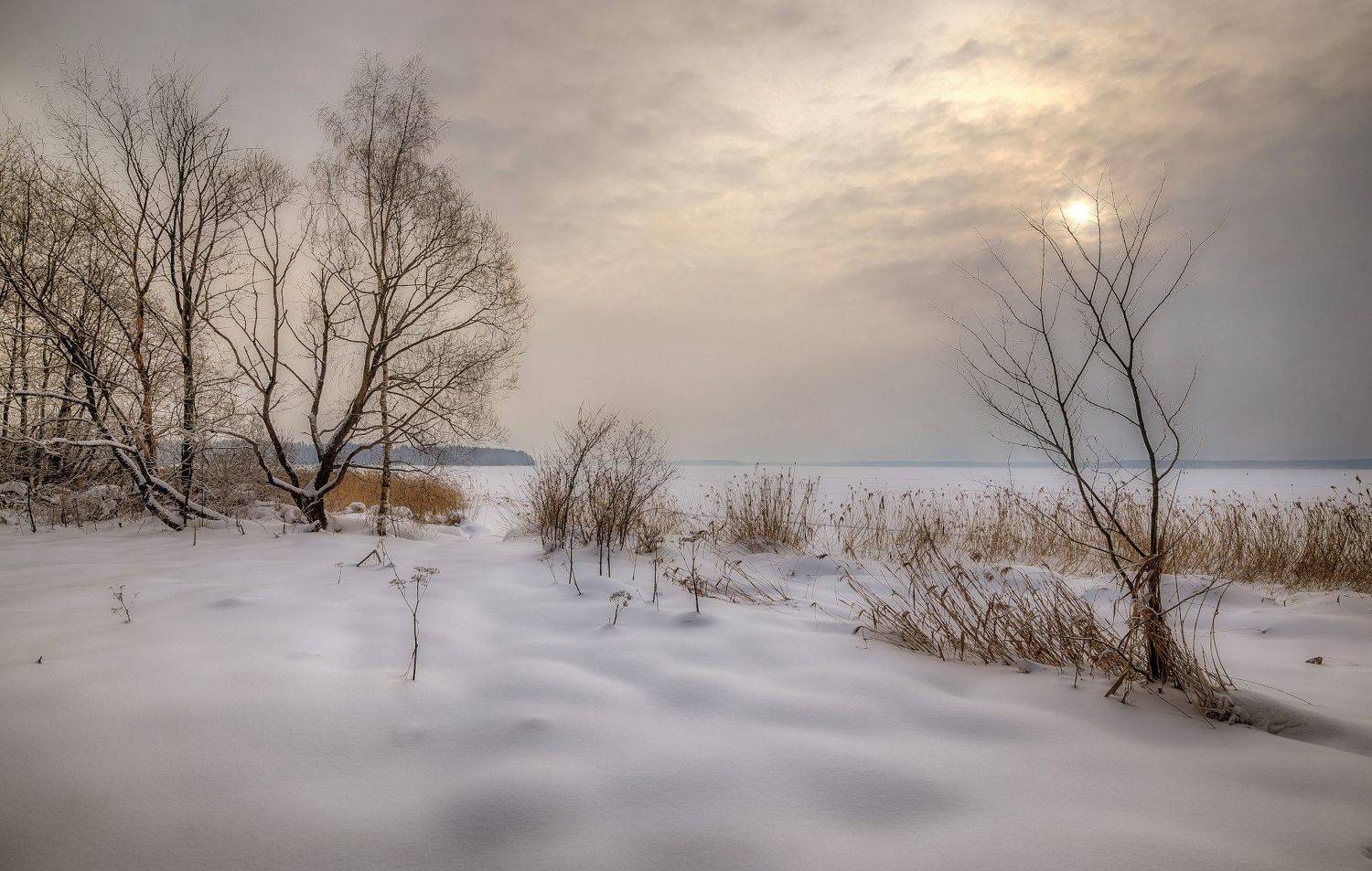 зима, берег, снег, солнце, Сергей Аникин